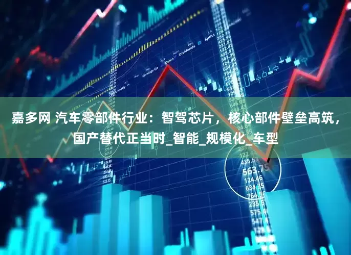 嘉多网 汽车零部件行业：智驾芯片，核心部件壁垒高筑，国产替代正当时_智能_规模化_车型