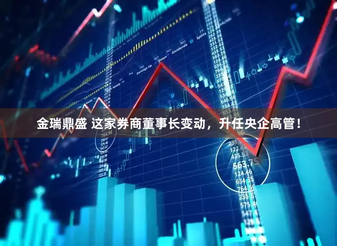 金瑞鼎盛 这家券商董事长变动，升任央企高管！