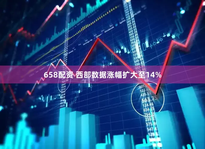 658配资 西部数据涨幅扩大至14%