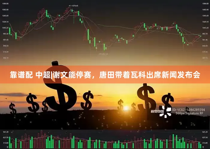 靠谱配 中超|谢文能停赛，唐田带着瓦科出席新闻发布会